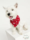 FAMILY PAJAMAS Matching Pet Merry Snowflake Bandana, Candy Red, S/M by Vanessa Jane