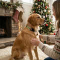 Yellow Dog Design Standard Collar, Medium, Christmas Cheer by Vanessa Jane