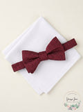 Alfani Mens Dot Pre-Tied Bow Tie and Solid Pocket Square Set, Size OS by Vanessa Jane
