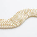 Weebee 200Pcs Glass Pearl Beads Loose Spacer Round Czech, Cream /4mm by Vanessa Jane