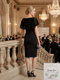 Ralph Lauren Embroidered Petal Sleeve Jewel Neck Sheath Dress, Size 8P by Vanessa Jane