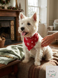 FAMILY PAJAMAS Matching Pet Merry Snowflake Bandana, Candy Red, S/M by Vanessa Jane