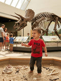 Epic Threads Toddler Boys Red T-Rex T-Shirt, Size 2T by Vanessa Jane