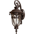 Yosemite Home Decor Viviana Oil-Rubbed Bronze FL519 Outdoor Wall Sconce by Vanessa Jane