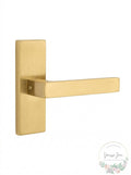 Emtek Dummy Brass Stretto Dumont Lever Set by Vanessa Jane