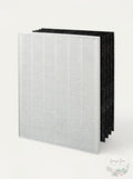 Winix 115115 Replacement Filter Set (Filter A) 4 Carbon + 1 True Hepa by Vanessa Jane