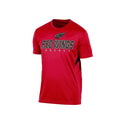 NHL Detroit Red Wings Mens Tee, Medium by Vanessa Jane