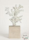 Flamant Arbol Resin Shell Stick Tree with Base by Vanessa Jane