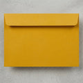 Jam Paper 9X12 envelopes 100 pack by Vanessa Jane