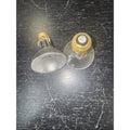 Replacement Bulb 50PAR20/H/FL, 120V 50W (2-Pack) by Price Is Right Miami