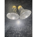 Replacement Bulb 50PAR20/H/FL, 120V 50W (2-Pack) by Price Is Right Miami