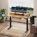 Rolanstar Height Adjustable Desk Standing Desk with Keyboard Tray and Monitor Shelf by DailySale