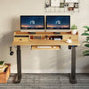 Rolanstar Height Adjustable Desk Standing Desk with Keyboard Tray and Monitor Shelf