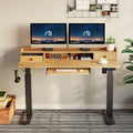 Rolanstar Height Adjustable Desk Standing Desk with Keyboard Tray and Monitor Shelf by DailySale