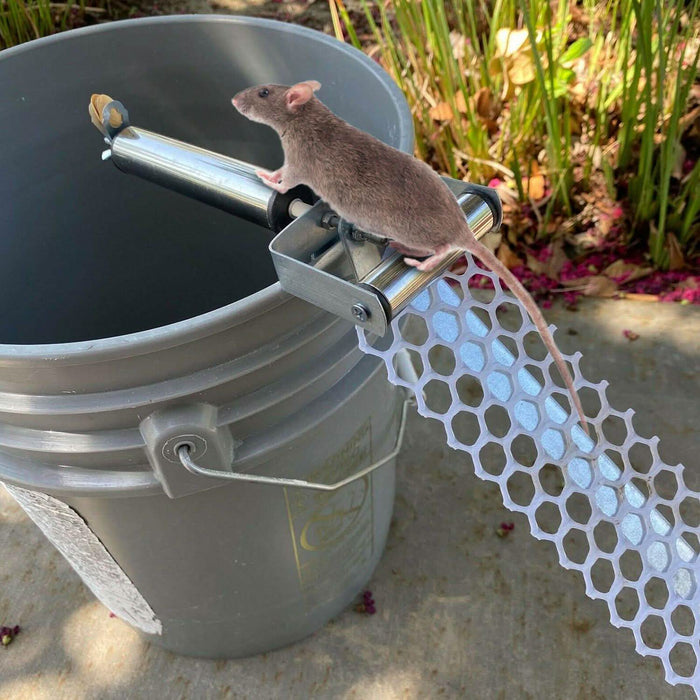 Roll Trap Log Rolling Mouse Catcher with 19.69" Mesh Ramp by DailySale