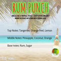Rum Punch Car Freshener by Wild Bear Market