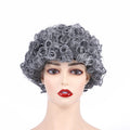 Curly Afro Wigs Synthetic Kinky Curly Wig Short Kinky Curly Wig for Black Women by Vanessa Jane