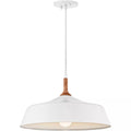 Kichler Lighting 43683WH Danika 1 Light 16 inch White Pendant Ceiling Light by Vanessa Jane
