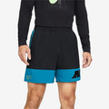 Nike Mens Clash Black Lined Stretch Logo Graphic Classic Fit Wicking Shorts by Vanessa Jane