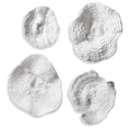 Uttermost Sea Coral Wall Art Set of 4 by Vanessa Jane