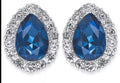 Charter Club Crystal and Stone Earrings, Silver Tone by Vanessa Jane