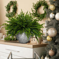 16 Pcs Norfolk Pine Branch 18in Artificial Christmas Green Plastic by Deal US