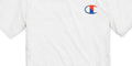 Champion Mens Cotton T-Shirt, Size Large by Vanessa Jane