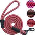 Nylon Dog or Cat Leash - 2/5 Inch Thick 5 Feet Length by Vanessa Jane