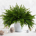 16 Pcs Norfolk Pine Branch 18in Artificial Christmas Green Plastic by Deal US