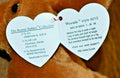 1995 TY Weenie the dog Beanie Baby 4013 MWBMT Rare PVC Pellets 8 errors! by Vanessa Jane