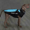 Didog Waterproof Dog Winter Jacket Coat Chest 23” Back 19” 20-30lbs Blue 2XL by Vanessa Jane
