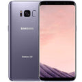 Samsung Galaxy S8 or S8+ Fully Unlocked 64GB (Refurbished) by DailySale