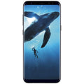 Samsung Galaxy S8 or S8+ Fully Unlocked 64GB (Refurbished) by DailySale
