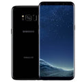 Samsung Galaxy S8 or S8+ Fully Unlocked 64GB (Refurbished) by DailySale