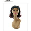 Unique Sandra Synthetic Wig New With Tags