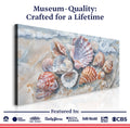 Sea Shells Modern Coastal Wall Art by Tailored Canvases