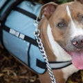 Service Dog Jacket by DailySale