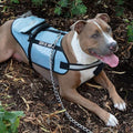 Service Dog Jacket by DailySale