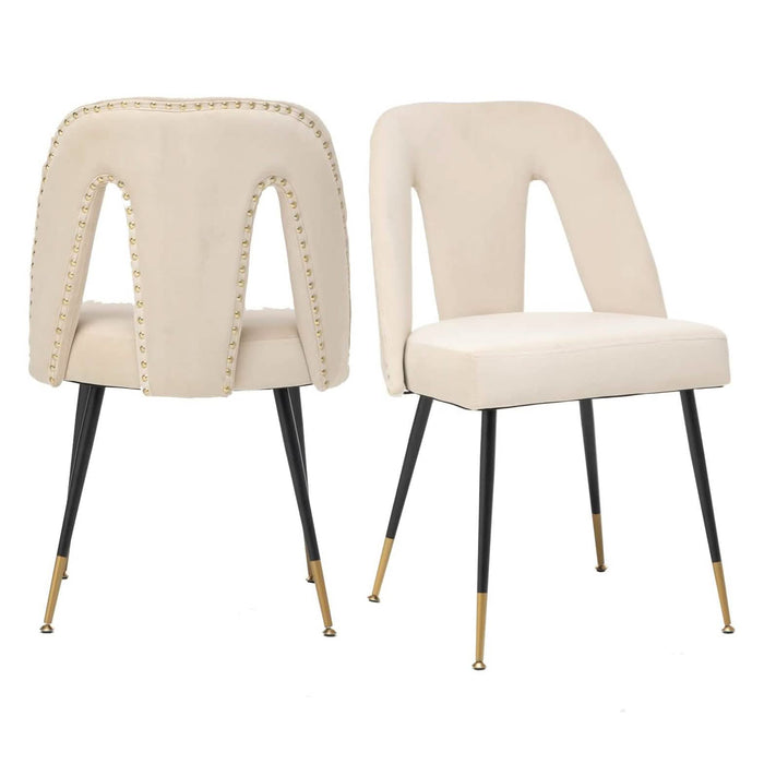 Set of 2: Modern Dining Chairs by DailySale