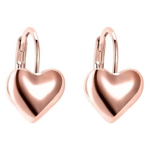 Sleek Heart Shaped Leverback Earrings by DailySale