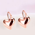 Sleek Heart Shaped Leverback Earrings by DailySale