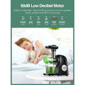 Slow Masticating Juicer Extractor Cold Press Juicer with Brush by DailySale
