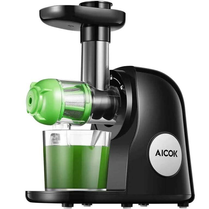 Slow Masticating Juicer Extractor Cold Press Juicer with Brush by DailySale