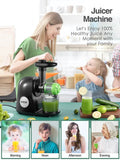 Slow Masticating Juicer Extractor Cold Press Juicer with Brush by DailySale