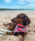 Slumber Pawty Reversible Harness by Pawmigo