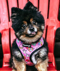 Slumber Pawty Reversible Harness by Pawmigo