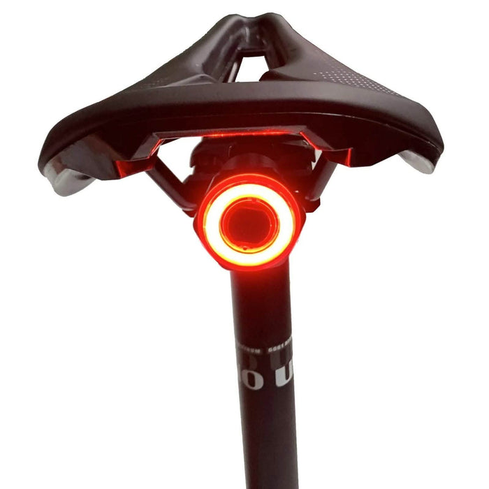 Smart Bike Tail Light by DailySale