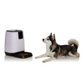 Smart Programmable Automatic Feeder for Pets by DailySale