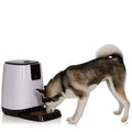 Smart Programmable Automatic Feeder for Pets by DailySale