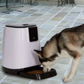 Smart Programmable Automatic Feeder for Pets by DailySale